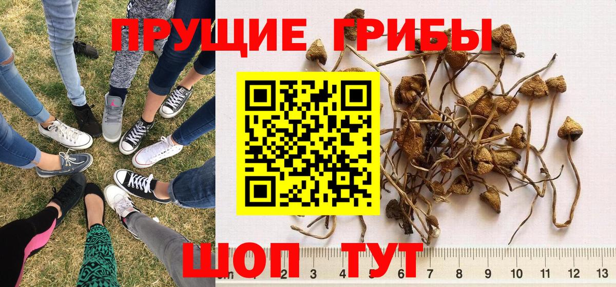 Галлюциногенные грибы ЛСД Заречный